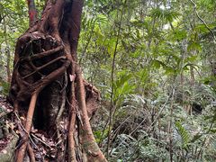 -七仙岭温泉国家森林公园