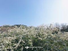 -中国茶叶博物馆(双峰馆区)