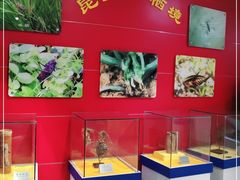 -上海昆虫博物馆