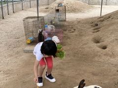 -前小桔亲子创意农场·草莓采摘·露营烧烤