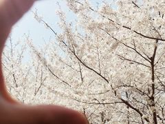 -白塘生态植物园