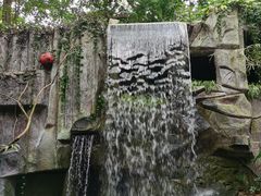 -青青世界
