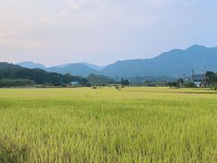-航空小镇温泉