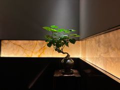 -苏帮袁Sue Cuisine(将台店)