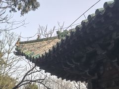 -百泉景区