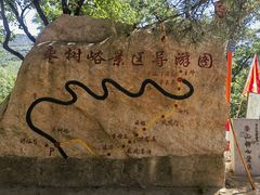 -鲁山国家森林公园