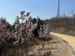 -鬼笑石后山停车场