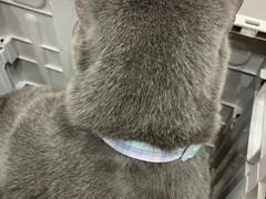 -瑞鹏宠物医院·普外科·影像科·皮肤科(城市山谷分院)