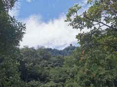 -青城山