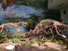 -自贡恐龙博物馆