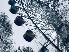 -青城公园