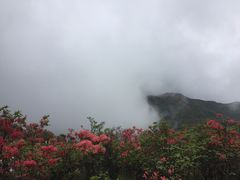 -大围山国家森林公园