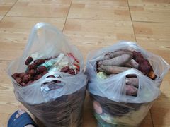 -新疆天山野生动物园