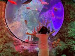 -沈阳海洋探索中心