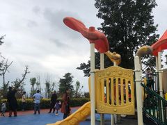 -铁山坪森林公园