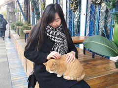 -Sirena海妖日咖夜酒