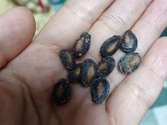 -刘艳明炒货(小心桥店)