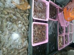 android_upload_pic-大湾区中央湿地公园-十九涌