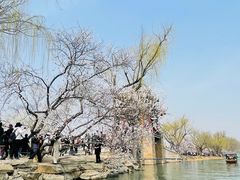 -颐和园