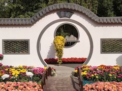 -上海共青森林公园