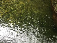 -九龙潭景区