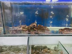 -兆辉木炭海鲜烧烤·海鲜小炒