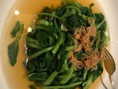 上汤鸡毛菜-福1015(愚园路店)
