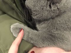 -袖虎·猫馆(体育西路店)