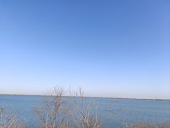 -江滩湿地公园