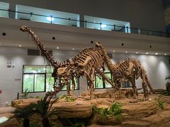 -自贡恐龙博物馆