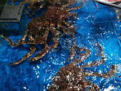 -盒马鲜生(馥邦国际店)