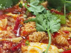 -东吴霸王兔(松青路店)