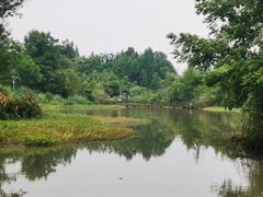 -桤木河湿地公园