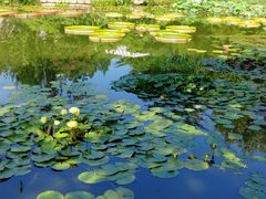 -国家植物园南园