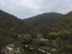 -武汉姚家山旅游景区