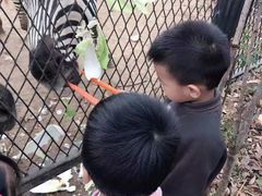 -无锡动物园·太湖欢乐园