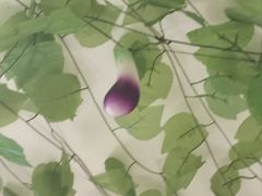 -东鸽皇(奥园·中环广场店)