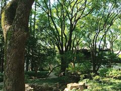 -上海醉白池公园