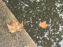 -黎里古镇
