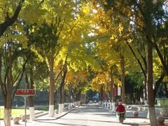 -山东大学(趵突泉校区)