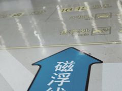 -龙阳路磁悬浮列车总站-停车场