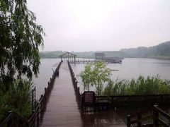 溱湖国家湿地公园-溱湖国家湿地公园