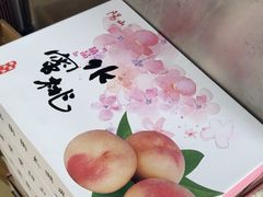 -老袁家蜜桃农场·阳山水蜜桃