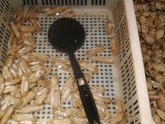 -星伦多自助料理·涮烤一体(嘉兴八佰伴店)