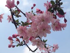 -上海虹桥迎宾馆