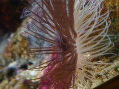 圣蓝海洋公园-北戴河圣蓝海洋公园