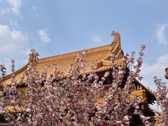 -南京市江宁方山