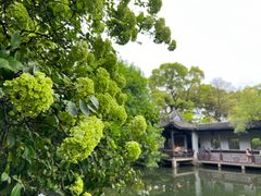 -惠山古镇·寄畅园