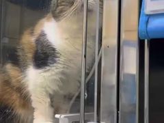 -美联众合动物医院·24h转诊中心