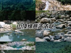 -海南霸王岭国家森林公园